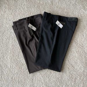 Women's AB Studio Pants - 2 Pair - Black and Brown - Size 10